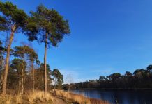 O’ wat ben je mooi