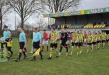 Revanche Nemelaer op Bemmel lukt voor de helft