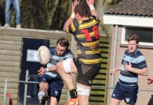 Tweemaal een maatje te groot voor Oisterwijkse Oysters