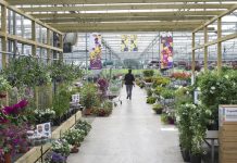 Uitgelicht: Kwekerij van de Ven Tuin- en Perkplanten