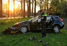 Auto botst tegen boom in Moergestel