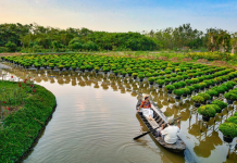 Waarom Nederlanders zo graag naar Zuidoost-Azië reizen *