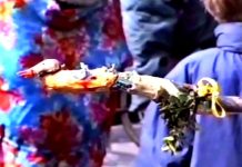 Beeldbank Oisterwijk: Eieren halen langs de deuren, Haaren 1993