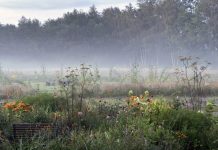 Atlasfestival 2025 over een gezonde leefomgeving