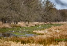 O’ wat ben je mooi