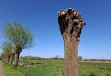 Partij PRO: Snel werk maken van verkeersveiligheid in Moergestel