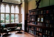 Voorjaarsschoonmaak? Vergeet je dak en zonnepanelen niet! *