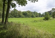 Gemeente Oisterwijk: Vragenlijst over klimaatadaptatie