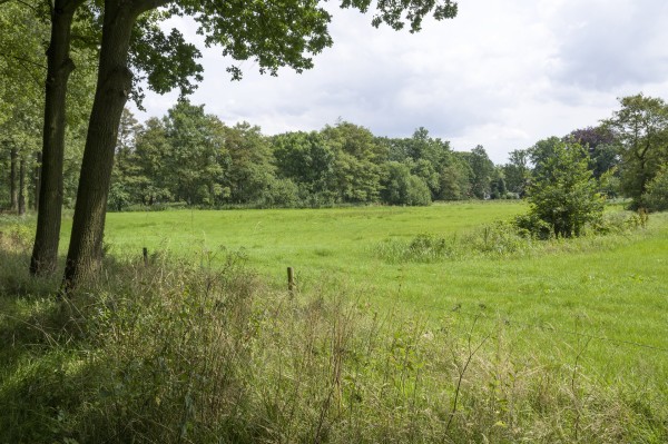 Gemeente Oisterwijk: Vragenlijst over klimaatadaptatie