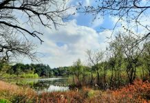 O’ wat ben je mooi