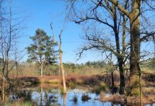 O’ wat ben je mooi