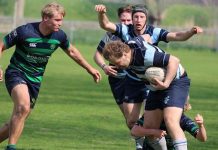 Oisterwijk Oysters verliezen van sterk Gouda