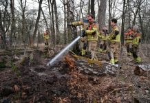 Brandweer rukt groots uit voor beginnende bosbrand in Oisterwijk