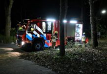 Brand in Oisterwijkse bossen optijd geblust