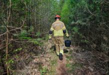 Bosbrand ontdekt door wandelaars Moergestel