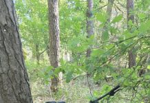 Verlaten fiets in het bos bij Oisterwijk (Update)