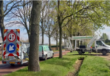 Gemeente Oisterwijk: Monitoring eikenprocessierupsÂ