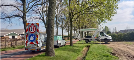 Gemeente Oisterwijk: Monitoring eikenprocessierups 