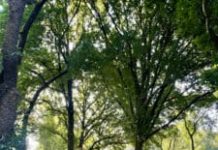 Partij PRO: Maaibeleid kan beter, maar gaat de goede kant op