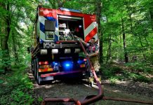 Bosbrand Oisterwijkse bossen vermoedelijk aangestoken