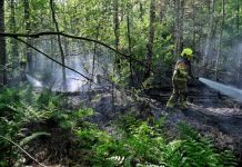 Bosbrand in Moergestel Bosbrand in Moergestel