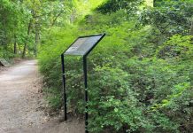 Natuurtheater Oisterwijk krijgt serie nieuwe informatieborden over natuur en cultuur