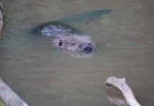 O’ wat ben je mooi