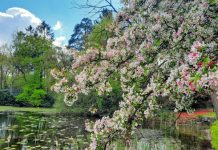 O’ wat ben je mooi