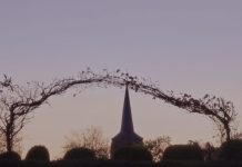 O’ wat ben je mooi