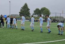 Nemelaer Haaren op 5 na verlies bij Emplina