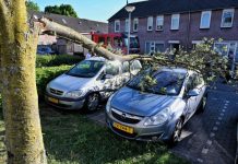 Schade door boomtak op auto