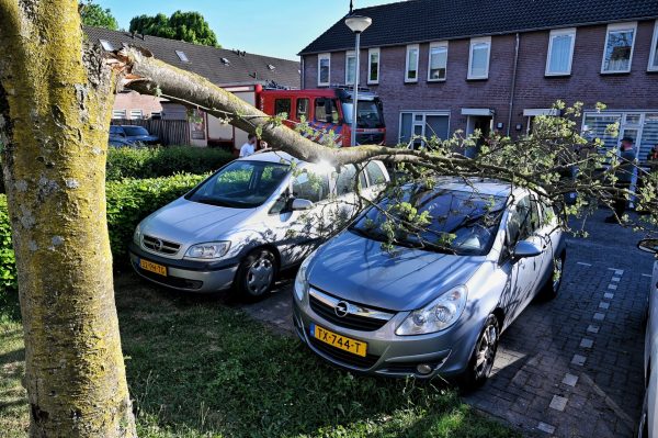 Schade door boomtak op auto
