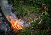 Bosbrand door brandstichter in Oisterwijk (Update)