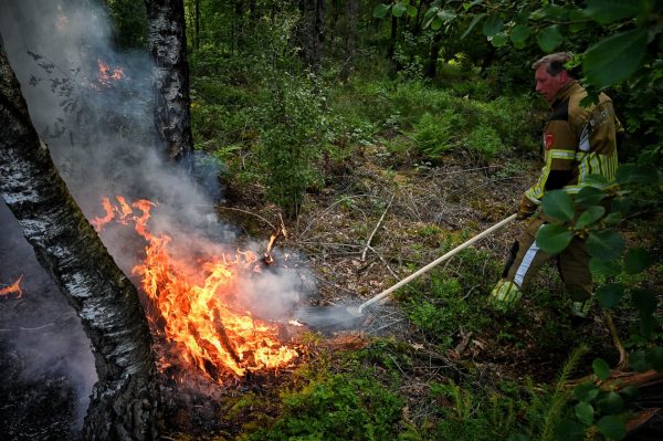 Bosbrand laait opnieuw op na brandstichting Oisterwijk
