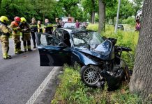 Gewonde na frontale aanrijding tegen boom op N65 bij Oisterwijk