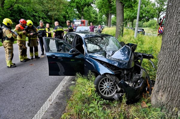 Gewonde na frontale aanrijding tegen boom op N65 bij Oisterwijk