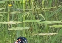 O’ wat ben je mooi