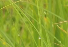 O’ wat ben je mooi