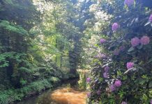 O’ wat ben je mooi