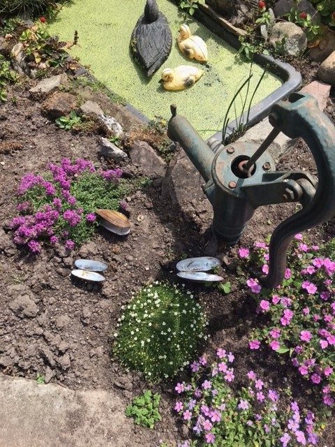 Mosselen in Oisterwijkse tuin?
