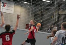 Roef HÃ¥ndbold klarer sig godt i Danmark