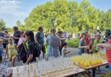 Kijk terug naar een geslaagde vierdaagse in Oisterwijk
