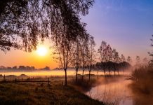 Film: Oisterwijk, Dorp aan de Stroom