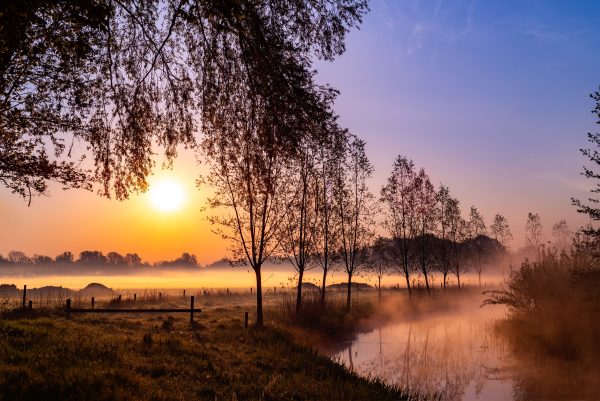 Film: Oisterwijk, Dorp aan de Stroom