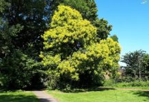 Excursie Natuur en Cultuur in het centrum van Oisterwijk