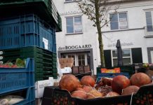 Gemeente Oisterwijk: 1 augustus geen markt in Moergestel