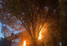 Uitslaande brand in tuin Oisterwijk