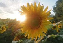 O’ wat ben je mooi