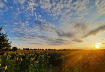 O’ wat ben je mooi