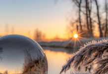 Mooie Oisterwijkse natuurfilm in de herhaling